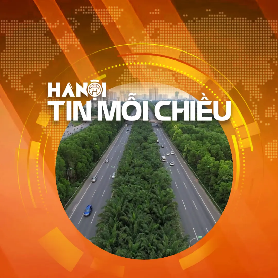 Có nên bỏ cây xanh trên dải phân cách cao tốc? | Hà Nội tin mỗi chiều